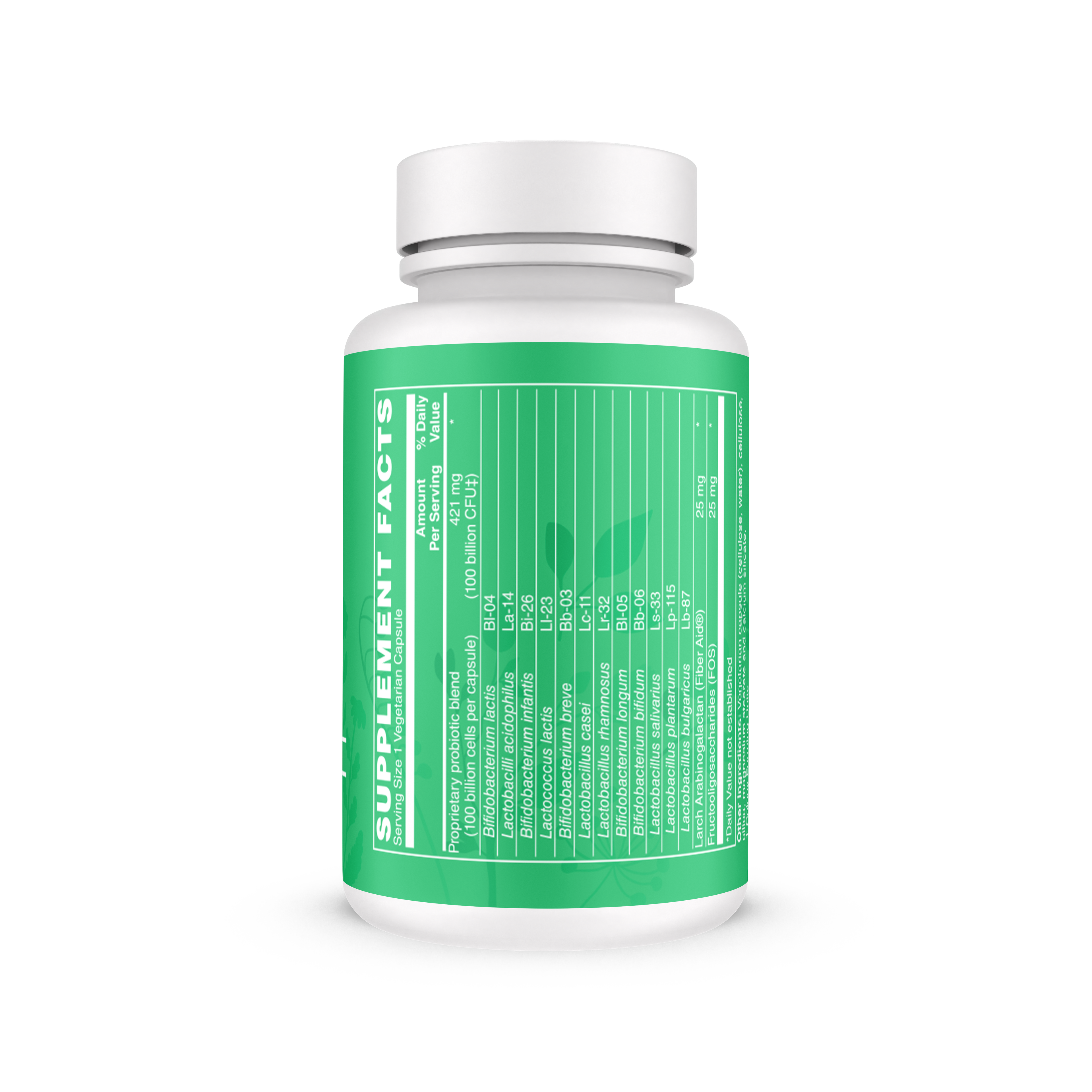 High Potency Probiotic
