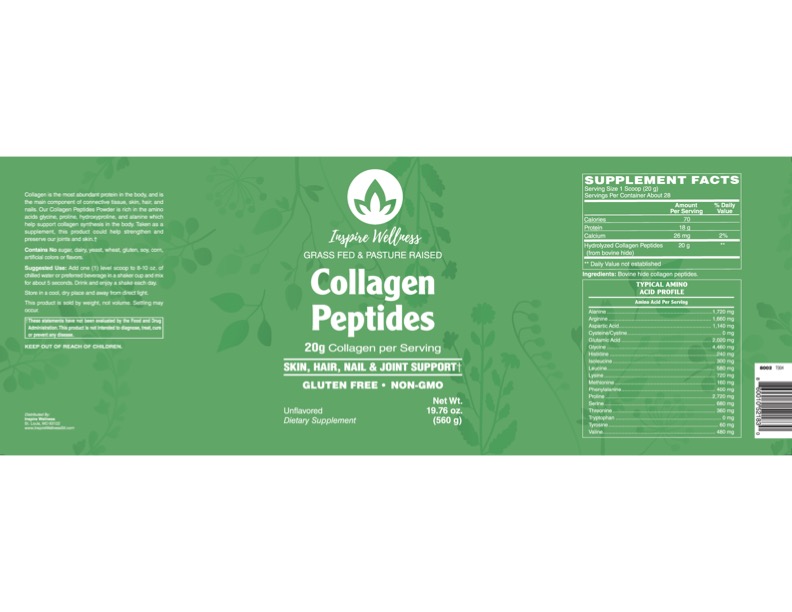 Collagen Protein Powder