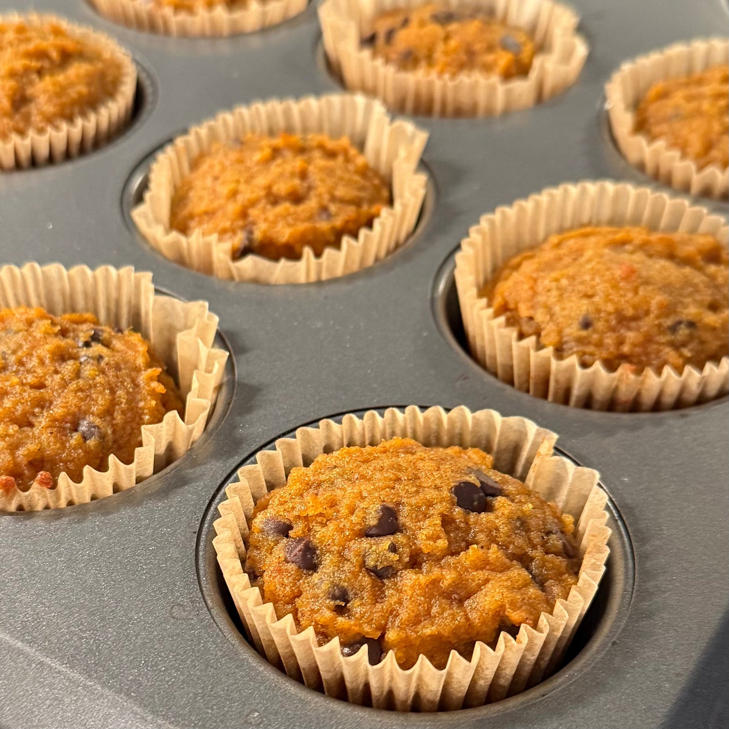 Gluten Free Pumpkin Muffins