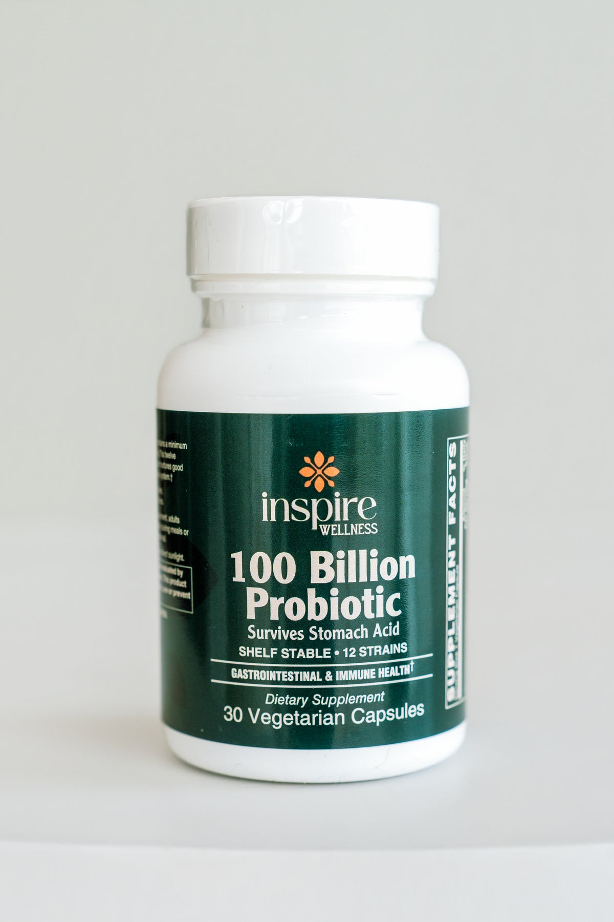 High Potency Probiotic