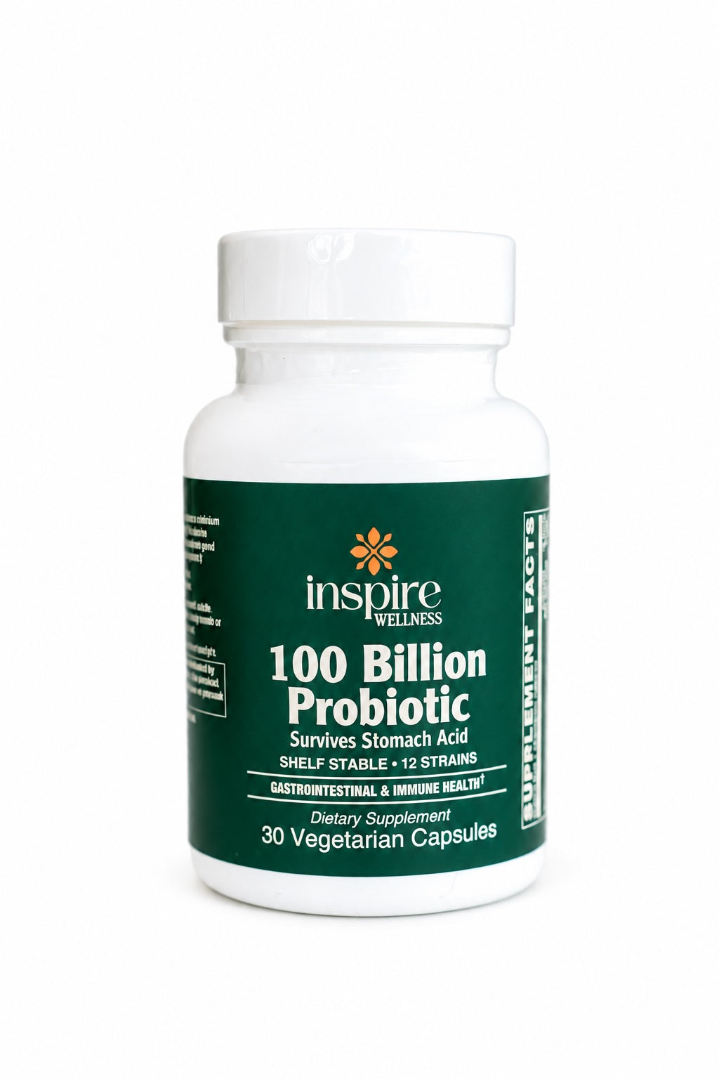 High Potency Probiotic