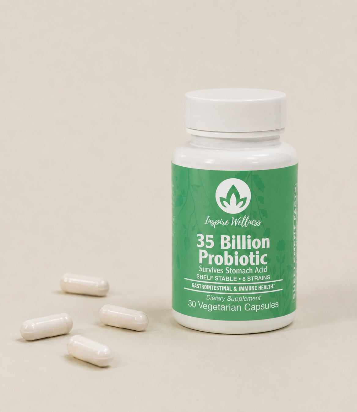 High Potency Probiotic